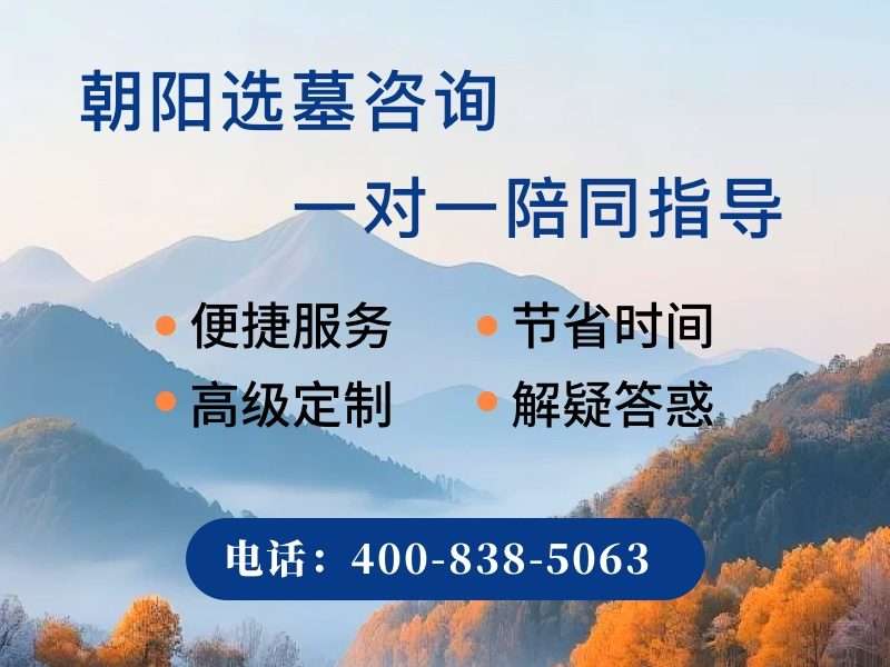朝阳陵园城区边缘这片绿色屏障藏着四季变换的自然美景